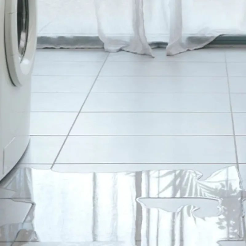 Appliance Leak Cleanup in Willacoochee, GA